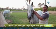 يوم جديد | دمو.. قرية الألف مدرب للخيول في مصر